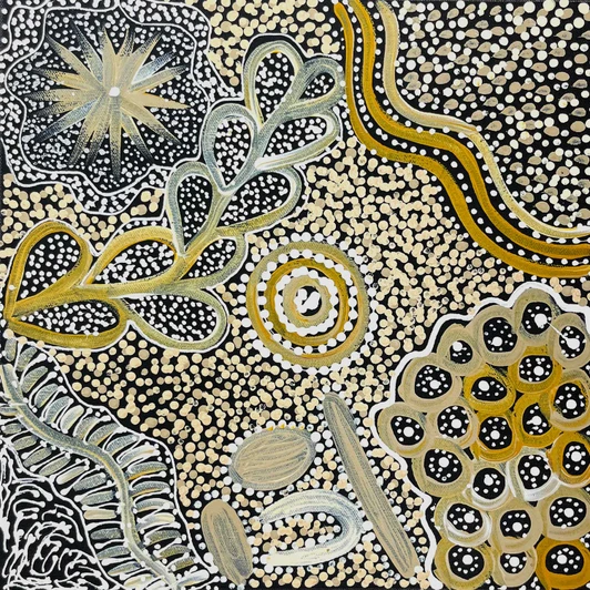 Janet Golder Kngwarreye - SP11455