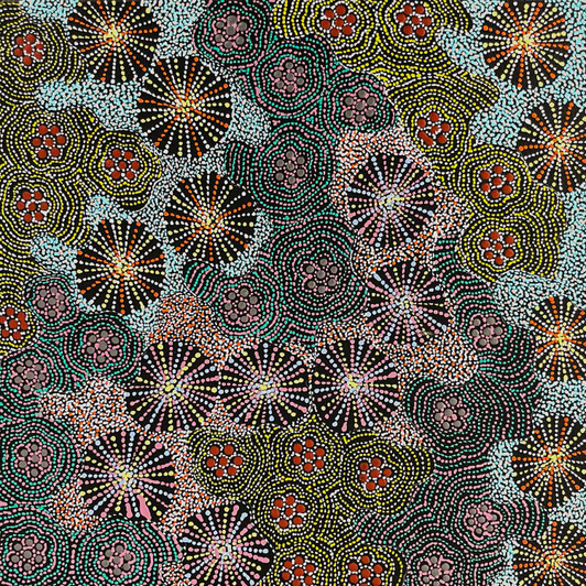 Susan Hunter Petyarre - SP11470