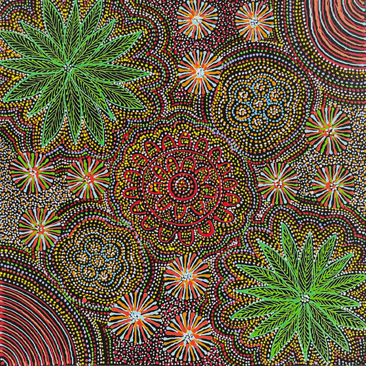 Jessie Hunter Petyarre - SP11473