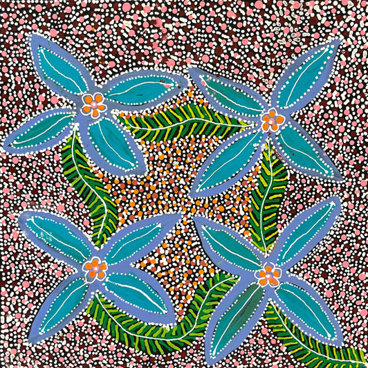 Katie Kemarre - SP11526