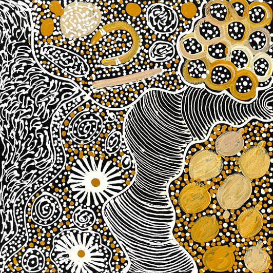 Janet Golder Kngwarreye - SP11533