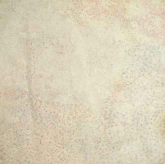 Kathleen Ngale - MB030537