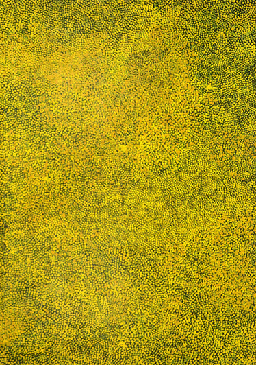 Ally Kemarre - MB030735