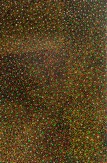 Ally Kemarre - MB031288