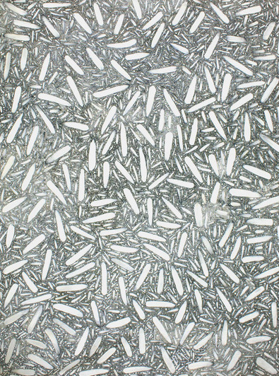 Kylie Clarke Kemarre - MB033786