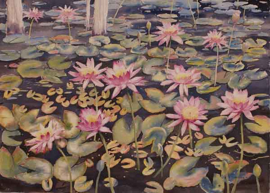 Harold Thomas - MB037040