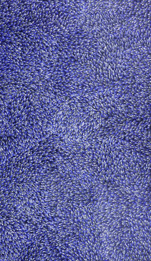 Abie Loy Kemarre - MB045415