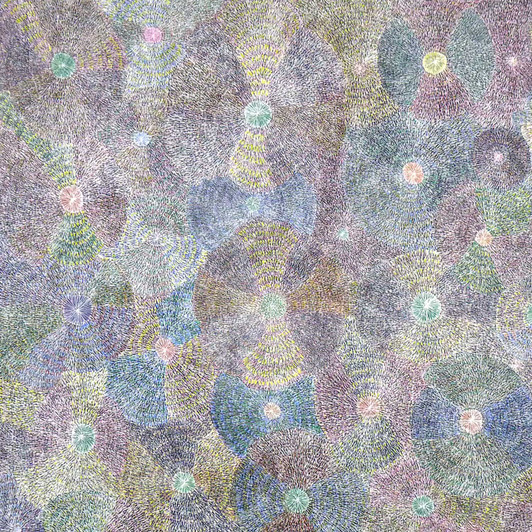 Sarah Morton Kngwarreye - MB050878