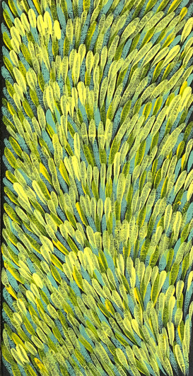 Gloria Tamerre Petyarre - MB011851