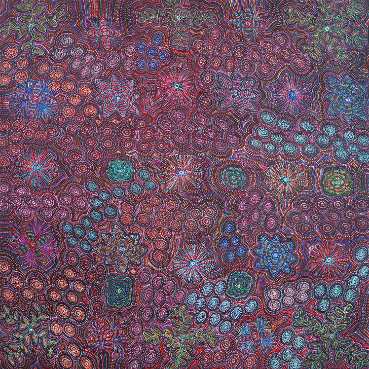 MB057366-Jessie Hunter Petyarre