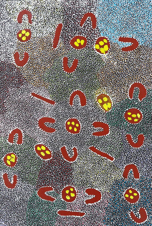 MB060284-Pauline Petyarre Moss