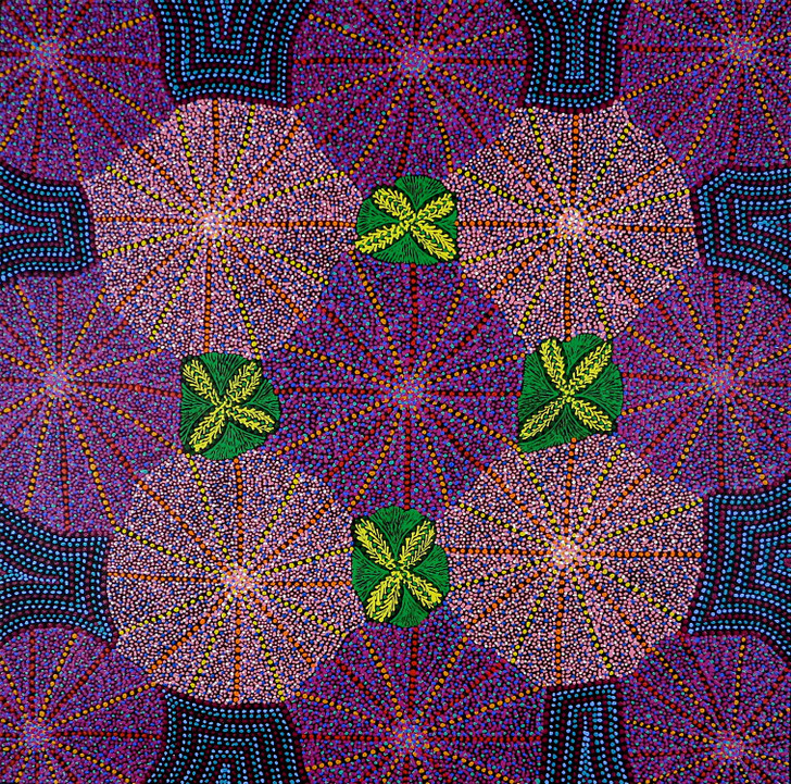 MB060946-Michelle Lion Kngwarreye