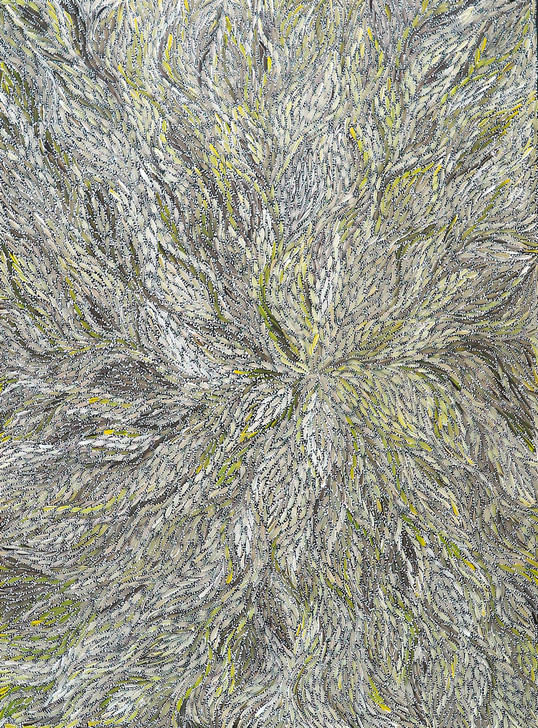 Rosabella Long Petyarre - MB062010