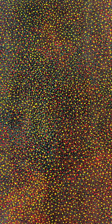 MB026519-Ally Kemarre