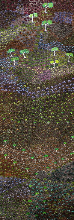 MB062352-Colleen Morton Kngwarreye