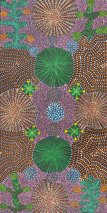 MB062591-Michelle Lion Kngwarreye