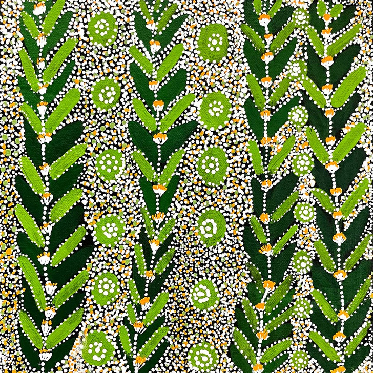 SP11151-Lucky Morton Kngwarreye