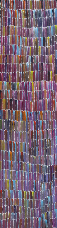 MB062696-Jeannie Mills Pwerle