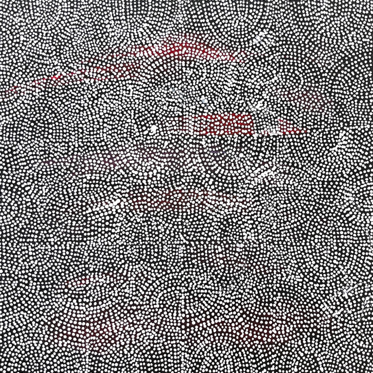 SP11270-Lizzie Moss Pwerle