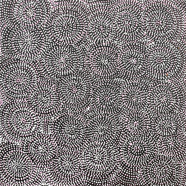 SP11271-Lizzie Moss Pwerle