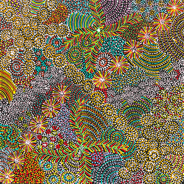 SP11274-Jessie Hunter Petyarre