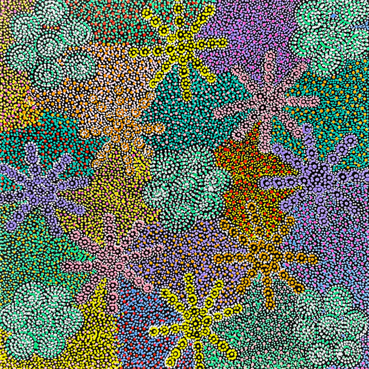 SP11286-Jessie Hunter Petyarre