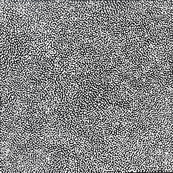 SP11288-Lizzie Moss Pwerle