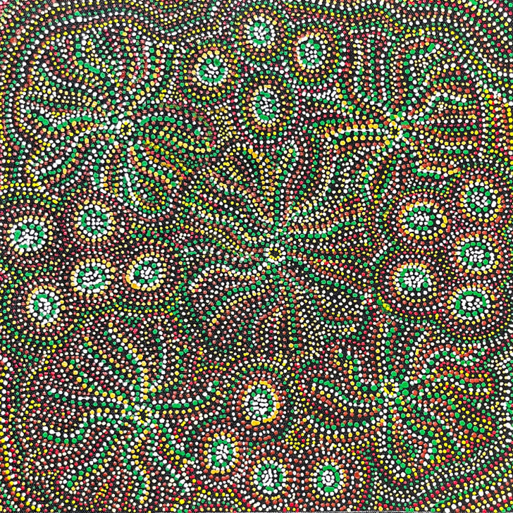 SP11294-Lizzie Moss Pwerle