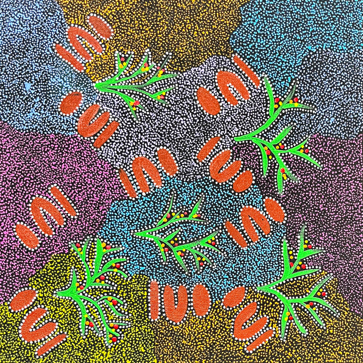 SP11315-Maureen Dixon Kemarre