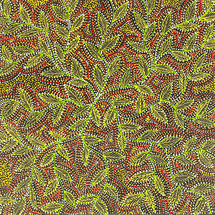 SP11342-Jessie Hunter Petyarre