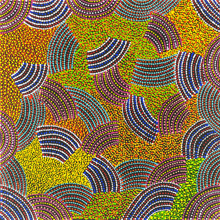 SP11346-Annie Hunter Petyarre