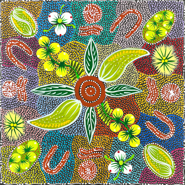 SP11349-Tanya Price Nangala