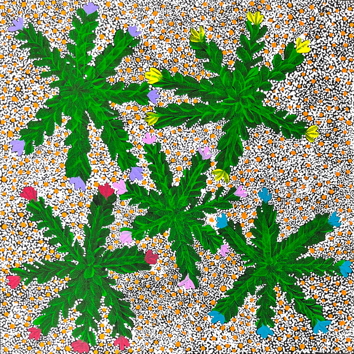 SP11354-Taralyn Morton Petyarre