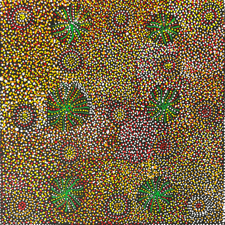 SP11365-Pauline Petyarre Moss