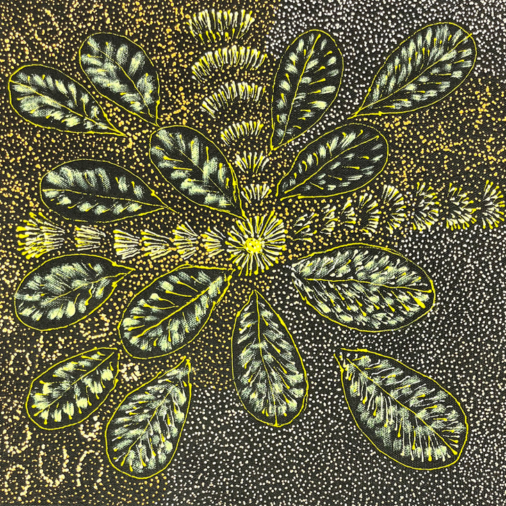 Colleen Morton Kngwarreye - SP11375