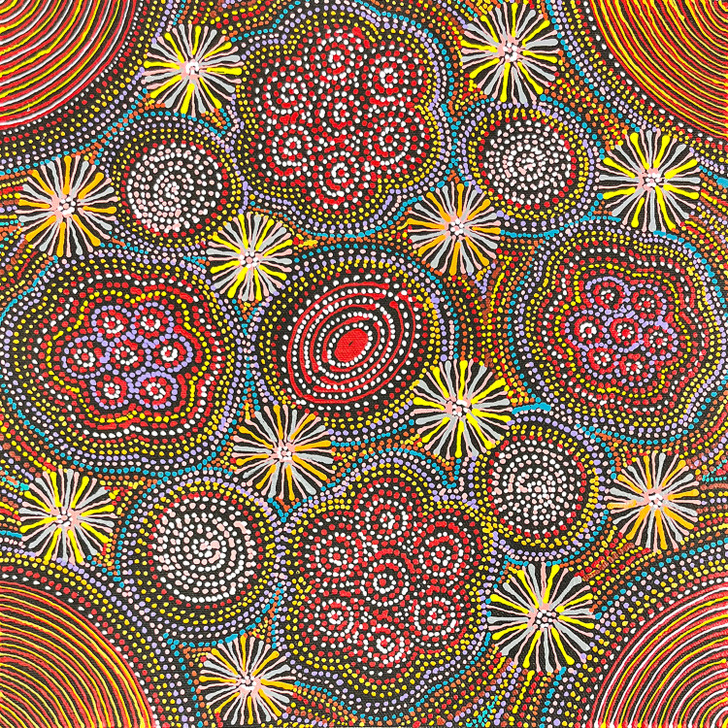 SP11377-Jessie Hunter Petyarre