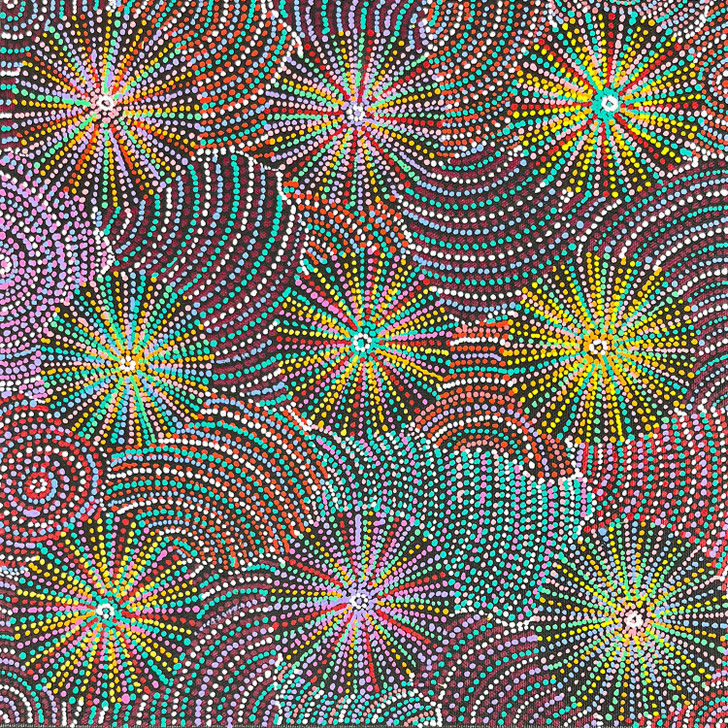 SP11378-Jessie Hunter Petyarre