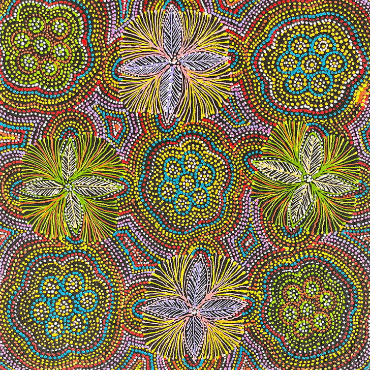 SP11379-Jessie Hunter Petyarre