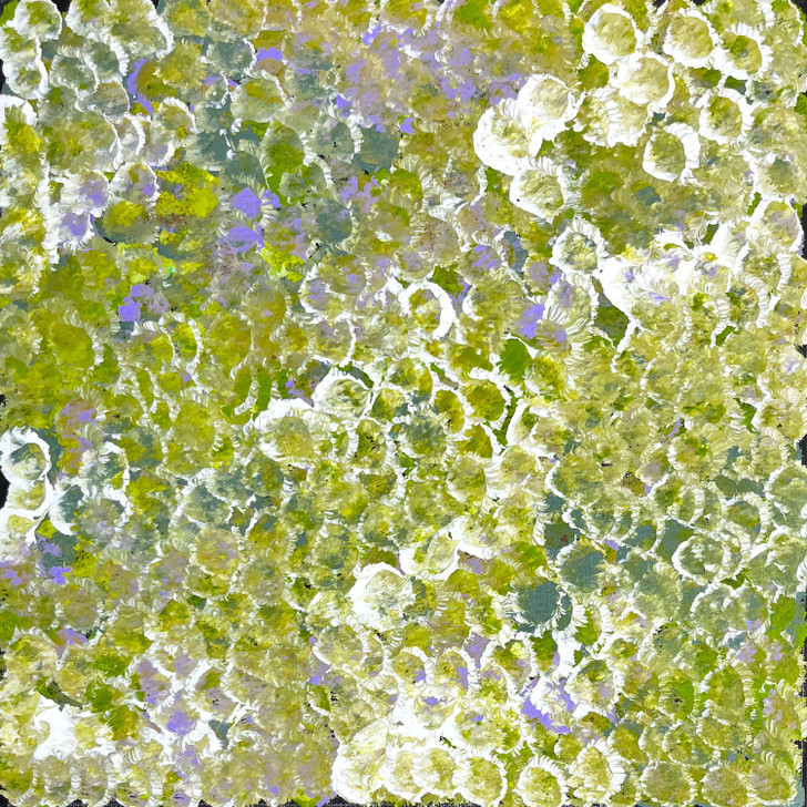 SP11388-Kate Petyarre (Pitjara)