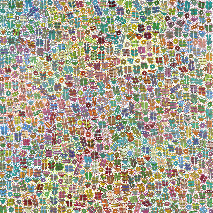 MB062919-Joycie Morton Petyarre