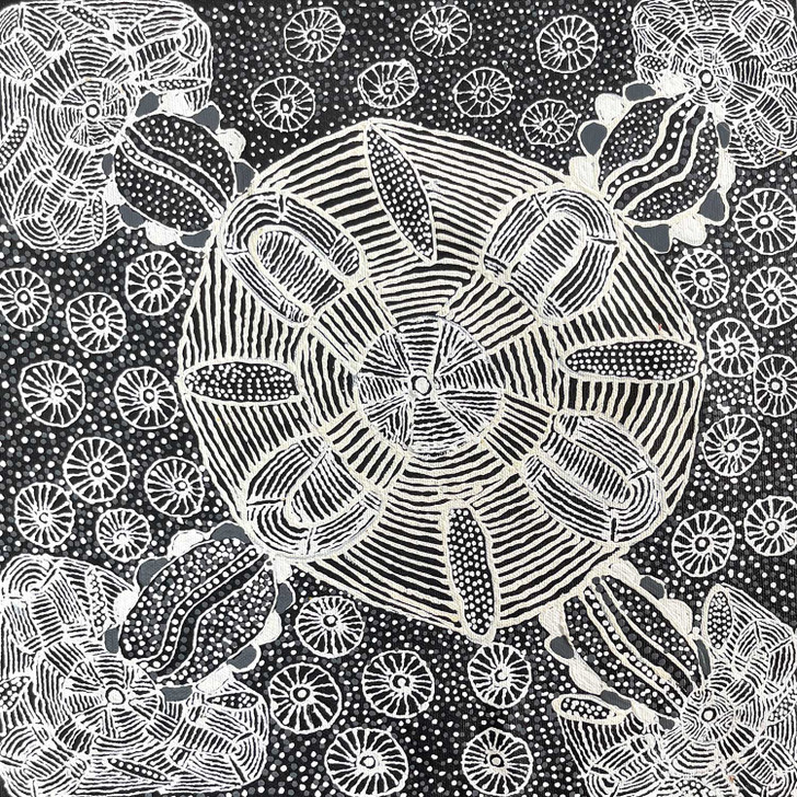 SP11392-June Bird Ngale