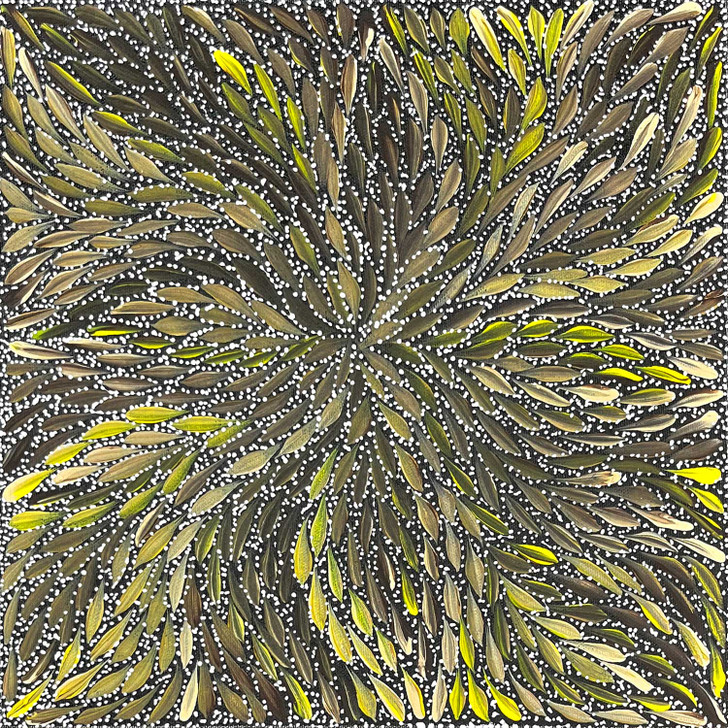 SP11401-Rosabella Long Petyarre