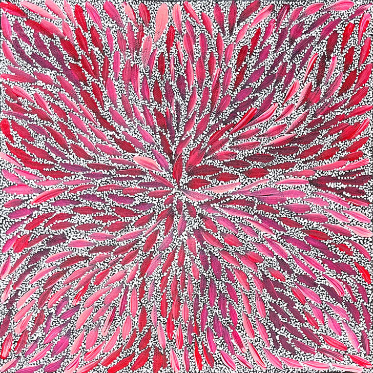 SP11402-Rosabella Long Petyarre