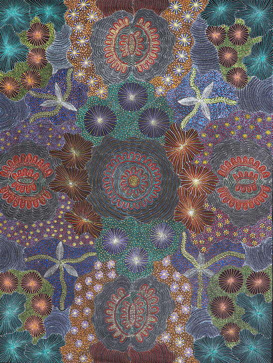 MB062993-Susan Hunter Petyarre