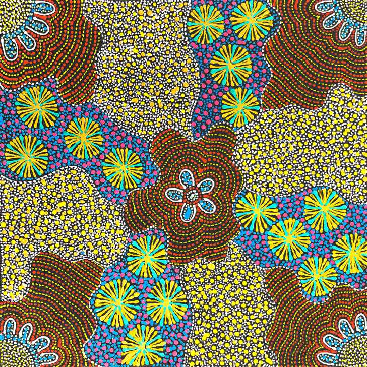 SP11424-Susan Hunter Petyarre