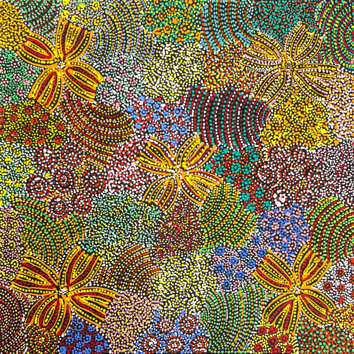 SP11433-Jessie Hunter Petyarre