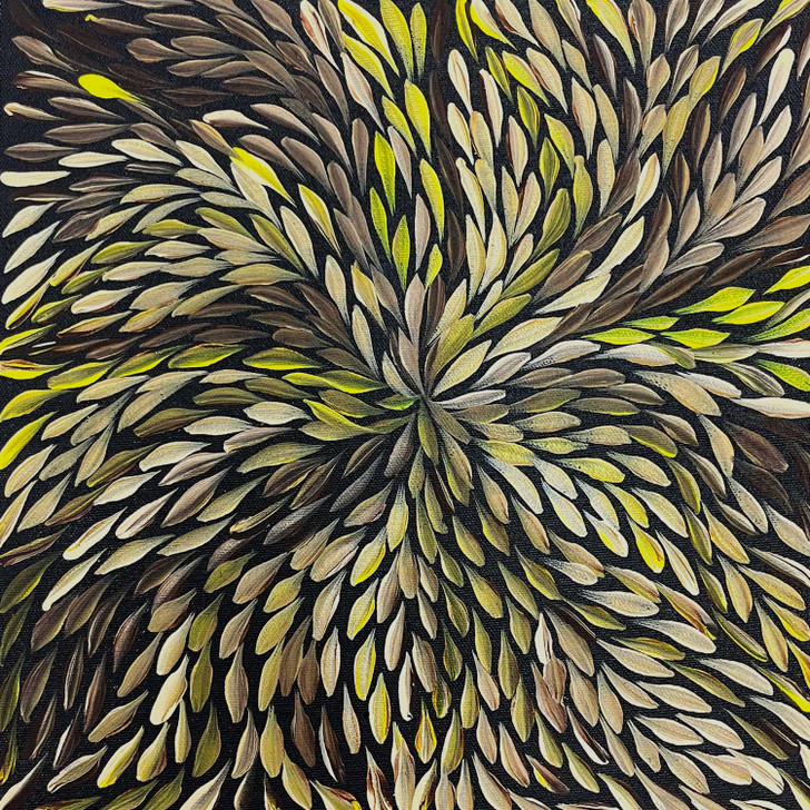 SP11456-Rosabella Long Petyarre