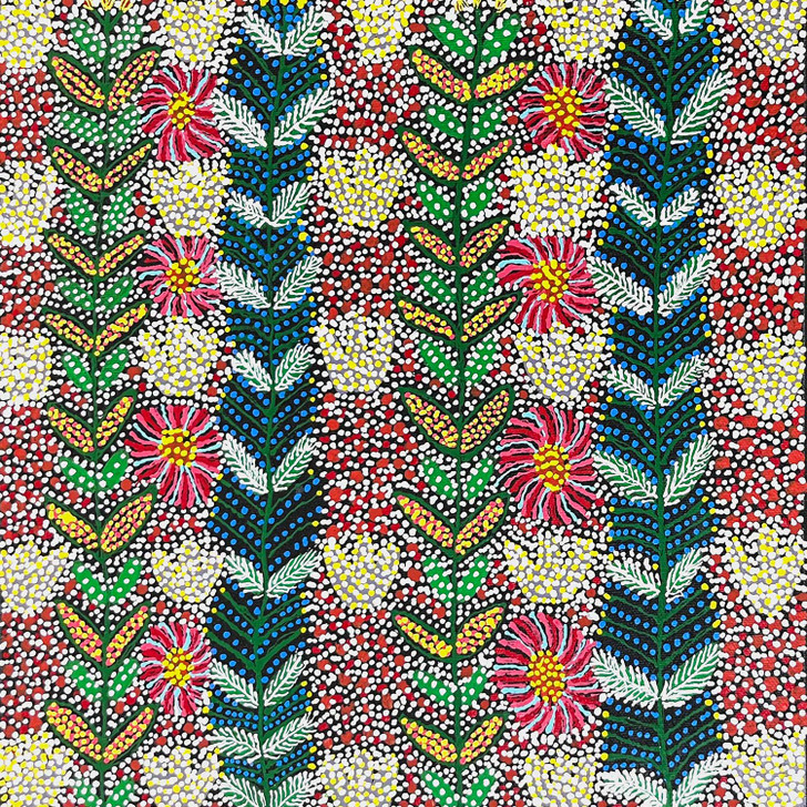 SP11508-Lily Lion Kngwarreye