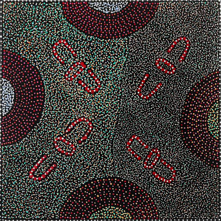 SP11516-Shirley Dixon Kemarre