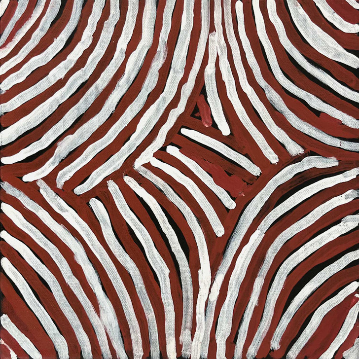 SP11520-Queenie Lion Kemarre